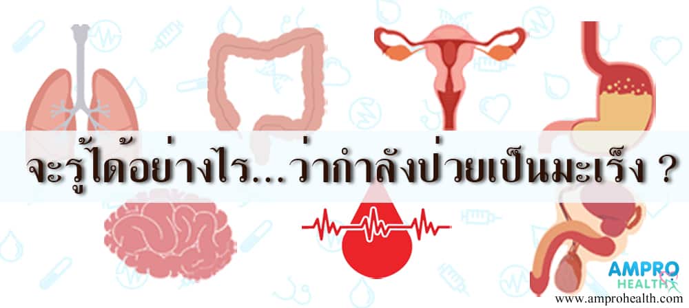 ความรู้พื้นฐานเบื้องต้นของโรคมะเร็ง (ฺฺBasic knowledge of Cancer) ความรู้พื้นฐานเบื้องต้นของโรคมะเร็ง (ฺฺBasic knowledge of Cancer)