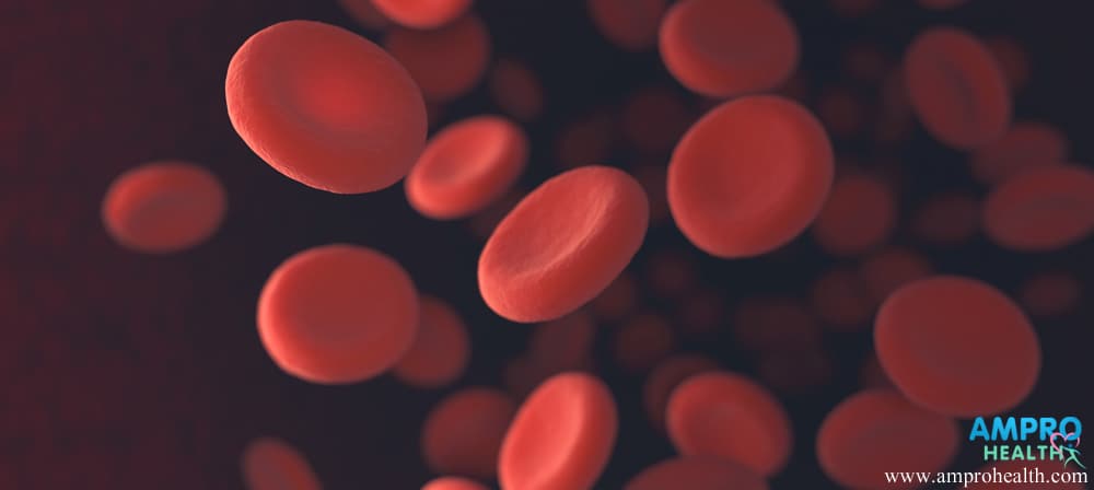 สารตรวจค่าเลือดเฟอร์ริติน (Ferritin) สารตรวจค่าเลือดเฟอร์ริติน (Ferritin)