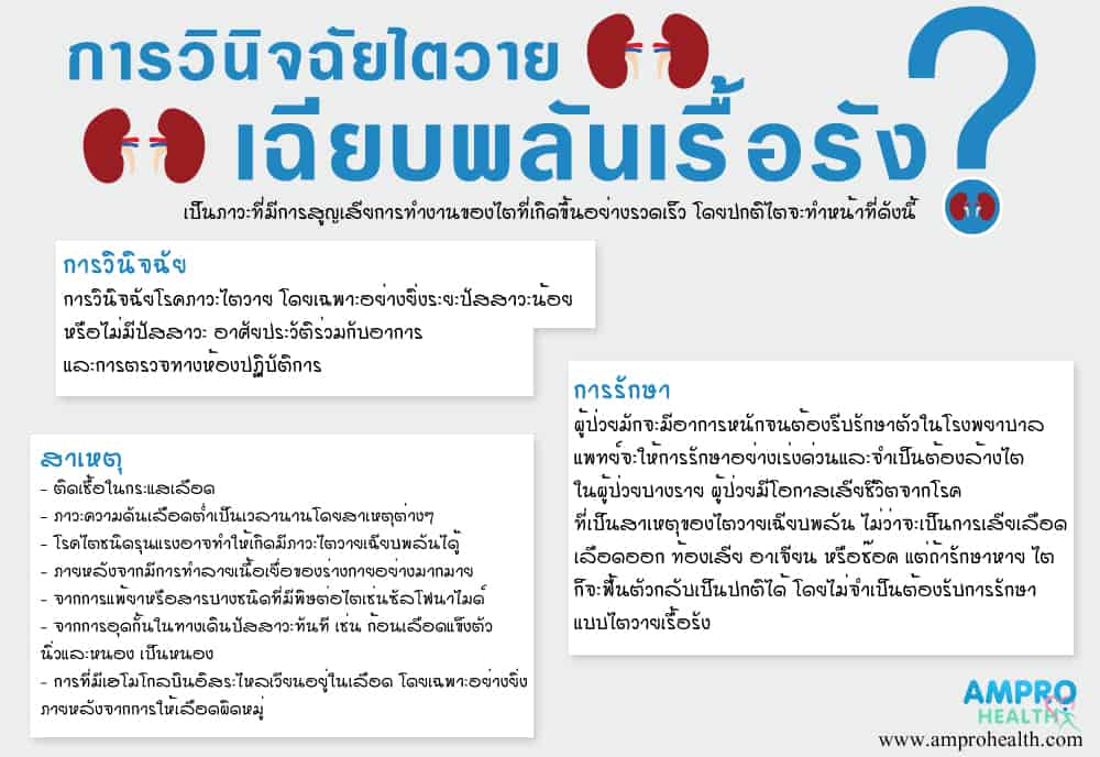 การวินิจฉัยไตวายเฉียบพลันเรื้อรังการรักษาโรคไตวายเฉียบพลัน การวินิจฉัยไตวายเฉียบพลันเรื้อรังการรักษาโรคไตวายเฉียบพลัน
