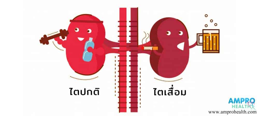 ไตวายไม่ตายไว ไตวายไม่ตายไว
