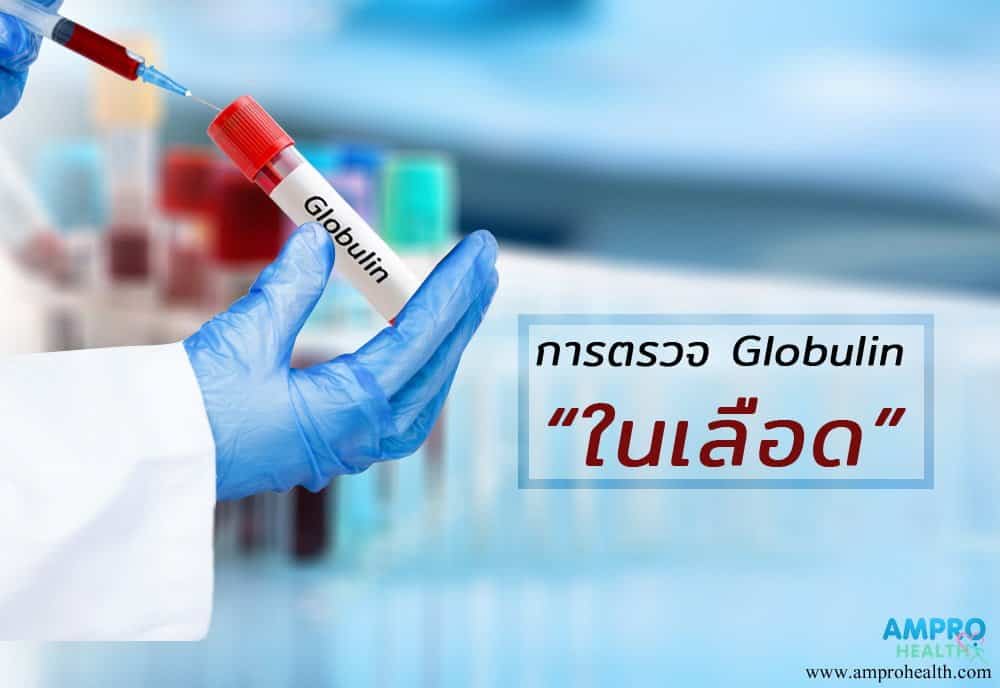 การตรวจ Globulin ในเลือดบ่งบอกอะไร AM Pro Health