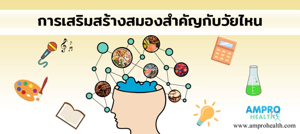การเสริมสร้างสมองสำคัญกับวัยไหน การเสริมสร้างสมองสำคัญกับวัยไหน