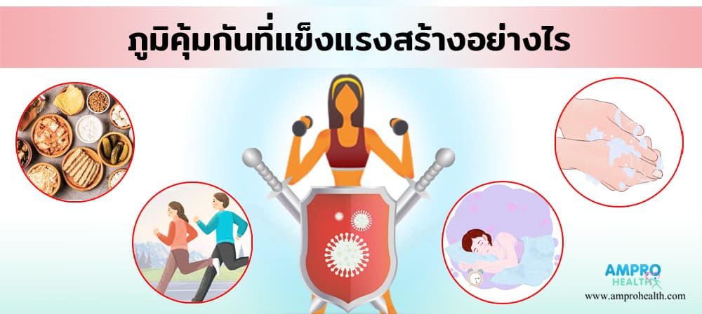 ภูมิคุ้มกันที่แข็งแรงสร้างอย่างไร ภูมิคุ้มกันที่แข็งแรงสร้างอย่างไร