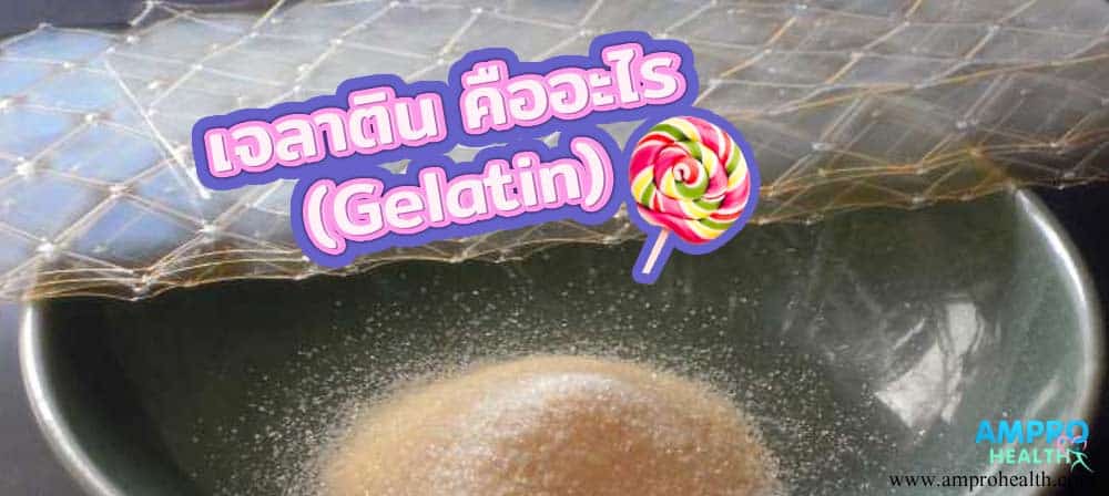 เจลาติน คืออะไร