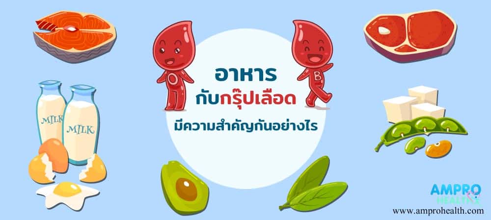 อาหารกับกรุ๊ปเลือดมีความสำคัญกันอย่างไร อาหารกับกรุ๊ปเลือดมีความสำคัญกันอย่างไร