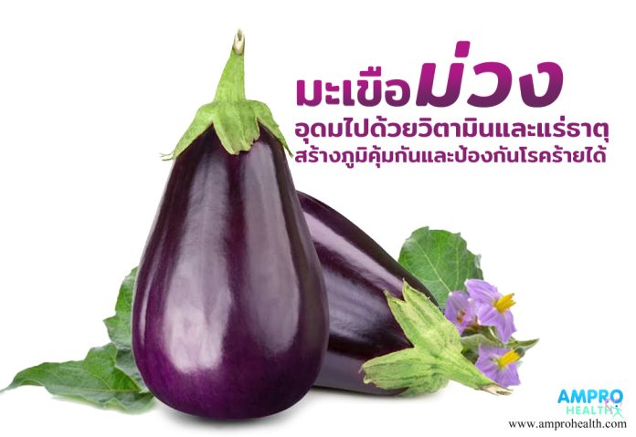มะเขือม่วง อุดมไปด้วยวิตามินและแร่ธาตุ สร้างภูมิคุ้มกันและป้องกันโรคร้ายได้