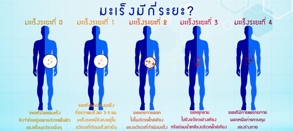 à¸œà¸¥à¸à¸²à¸£à¸„à¹‰à¸™à¸«à¸²à¸£à¸¹à¸›à¸ à¸²à¸žà¸ªà¸³à¸«à¸£à¸±à¸š à¸£à¸°à¸¢à¸°à¸¡à¸°à¹€à¸£à¹‡à¸‡