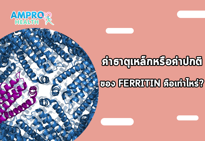 ค่าธาตุเหล็กหรือค่าปกติของ Ferritin คือเท่าไหร่?