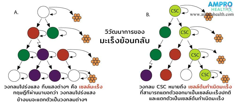 โรคมะเร็งย้อนกลับเป็นซ้ำและโรคมะเร็งชนิดที่ 2