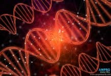 มะเร็งเกิดจากอะไร? รวมสาเหตุ ปัจจัยเสี่ยง และแนวทางตรวจคัดกรองโรคมะเร็ง “มะเร็ง” เกิดจากอะไร ? (Causes of Cancer)