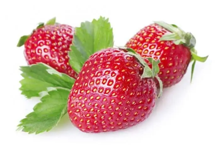 สตรอว์เบอร์รี (Strawberry) ประโยชน์มากมายคุณค่าหลากหลาย