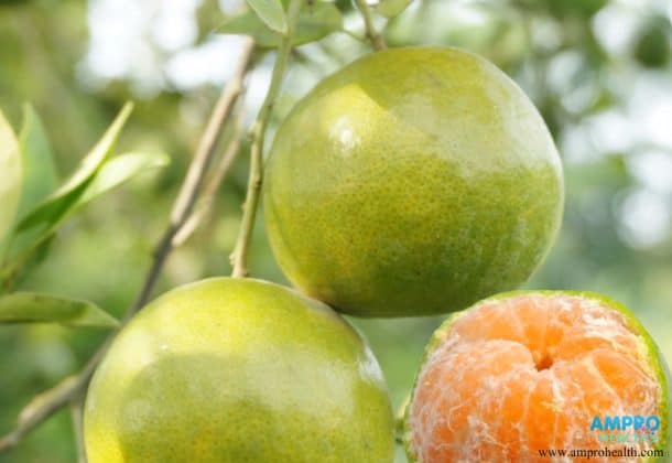 ประโยชน์ของส้มและสรรพคุณของส้ม ( Orange )