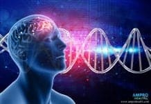 เนื้องอกในสมอง มะเร็งสมอง ( Brain Cancer ) โรคมะเร็งสมองและเนื้องอกสมอง (Brain Cancer)