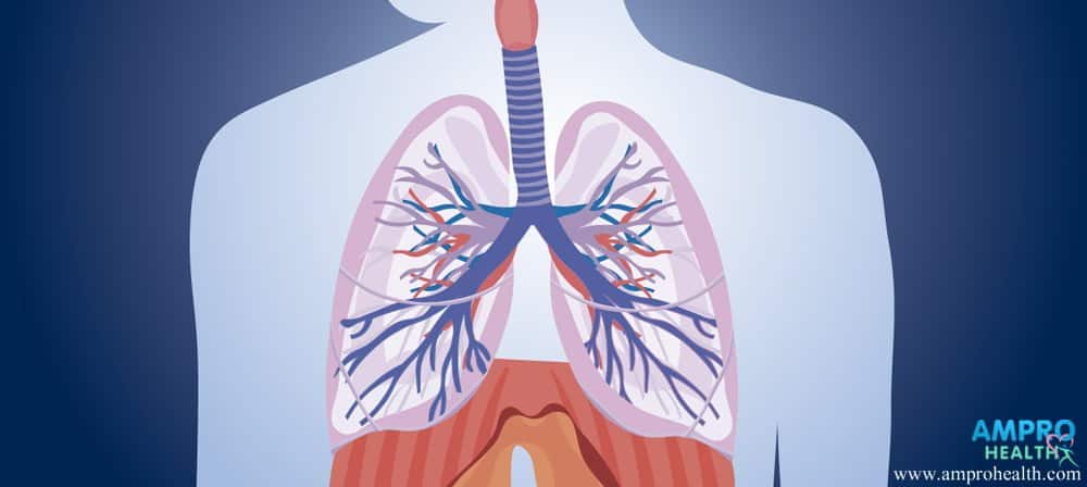 มะเร็งปอด (Lung Cancer) สาเหตุ อาการ และวิธีรักษา