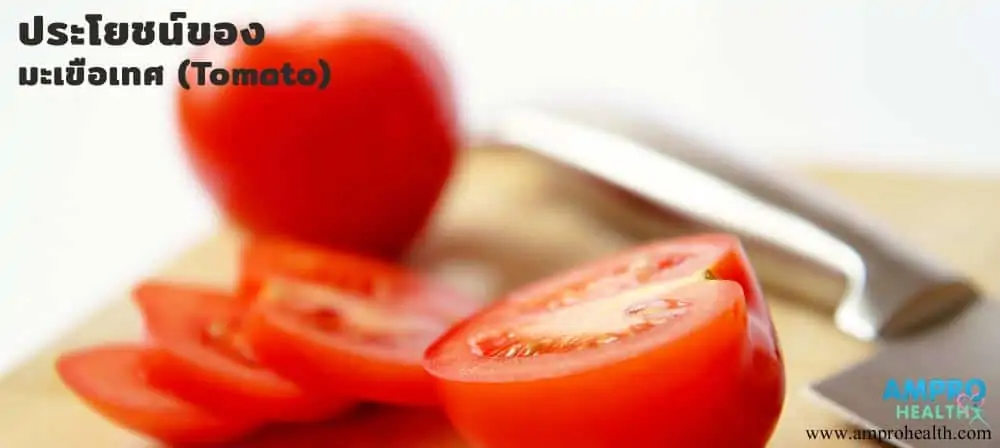 สรรพคุณและประโยชน์ของมะเขือเทศ (Tomato)
