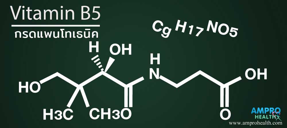 กรดแพนโทเธนิคหรือวิตามินบี 5 คืออะไร (Pantothenic Acid หรือ Vitamin B5)