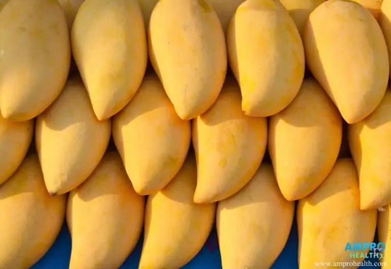 มะม่วง ( Mango )  อุดมไปด้วยคุณค่าทางสารอาหาร