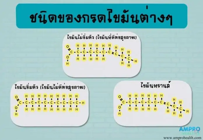 ชนิดของกรดไขมัน (Fatty Acid) และไขมันทรานส์ (Trans Fat)