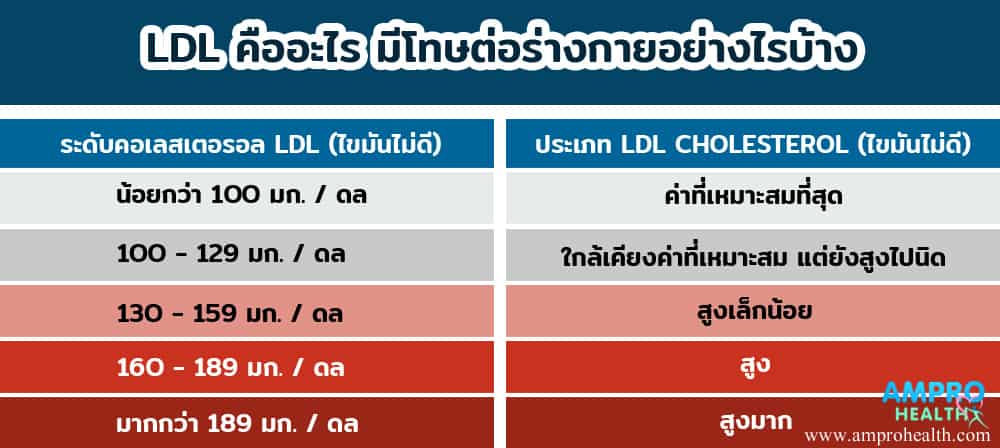 คอเลสเตอรอลชนิดที่ต้องควบคุมไม่ให้สูงเกินไป Low-Density Lipoprotein (LDL)