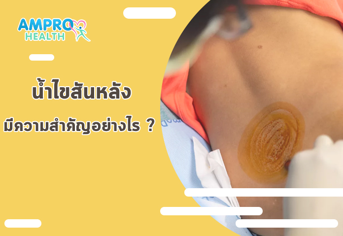 น้ำไขสันหลัง มีความสำคัญอย่างไร - เจาะลึก ความสำคัญของการตรวจของเหลวในไขสันหลัง