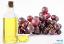 High Density Lipoprotein ( HDL ) คืออะไร คอเลสเตอรอลชนิดดี (High Density Lipoprotein – HDL)