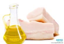 น้ำมันพืช กับ น้ำมันหมู อะไรดีกว่ากัน ? น้ำมันพืชกับน้ำมันหมูอะไรดีกว่ากัน