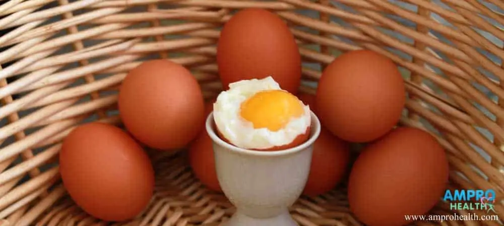 การกินไข่ทำให้คอเลสเตอรอลสูงใช่หรือไม่?