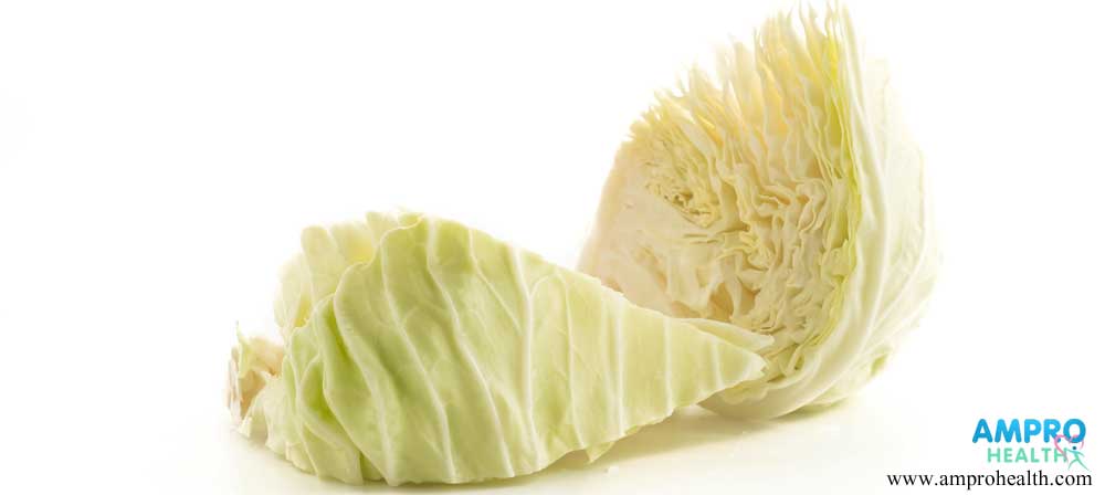 ประโยชน์ของกะหล่ำปลี (Cabbage)