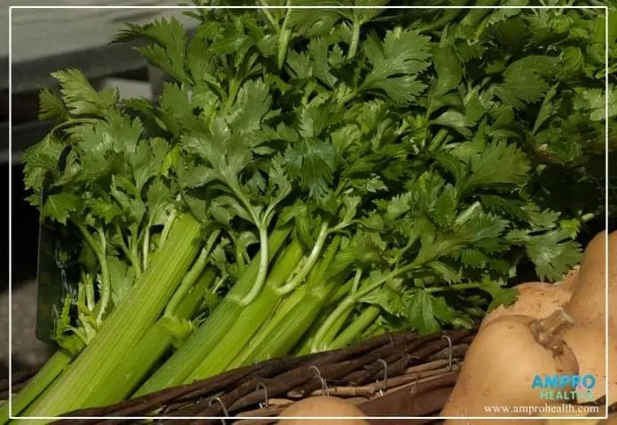 ผักเซเลอรี่ (Celery) คืออะไร