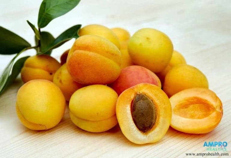 ประโยชน์ของแอปริคอต ( Apricot )