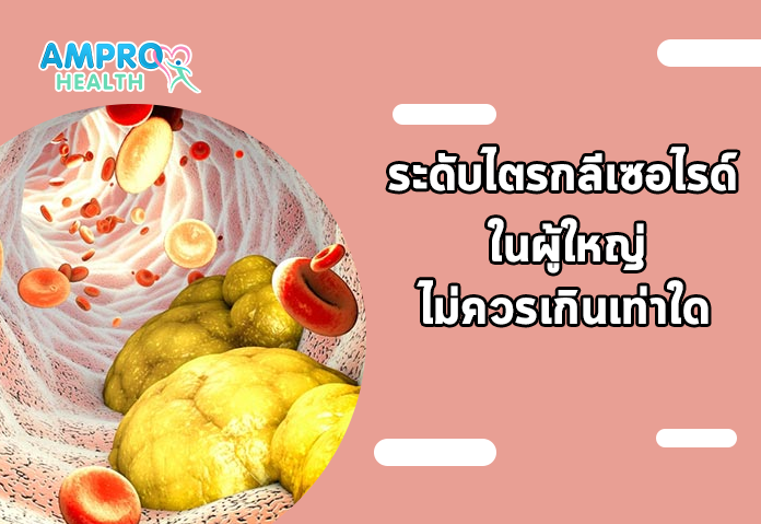 ระดับไตรกลีเซอไรด์ในผู้ใหญ่ปกติไม่ควรเกินเท่าใด - รู้จัก ไตรกลีเซอไรด์ ไขมันที่ต้องใส่ใจเพื่อสุขภาพที่ดี