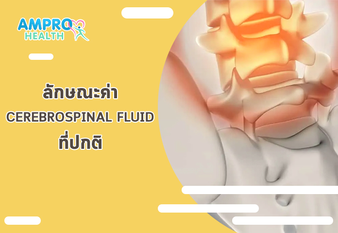 ลักษณะค่า Cerebrospinal Fluid CSF ที่ปกติ - เจาะลึก ความสำคัญของการตรวจของเหลวในไขสันหลัง