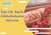ไขมัน LDL คืออะไร ทำไมถึงเป็นอันตรายต่อร่างกาย