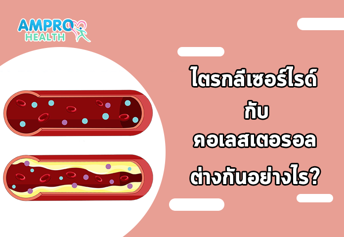 ไตรกลีเซอร์ไรด์ กับ คอเลสเตอรอล ต่างกัน อย่างไร - รู้จัก ไตรกลีเซอไรด์ ไขมันที่ต้องใส่ใจเพื่อสุขภาพที่ดี