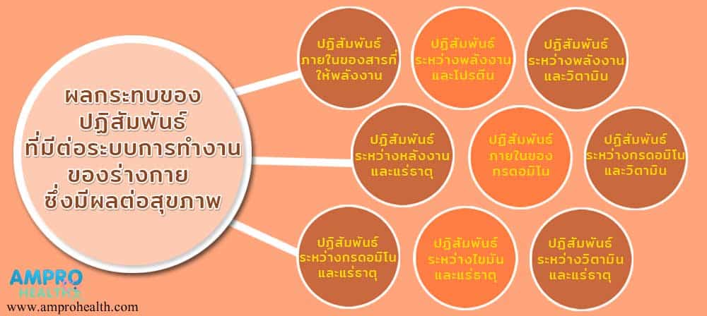 ปฏิสัมพันธ์ระหว่างพลังงานและสารอาหารในร่างกาย