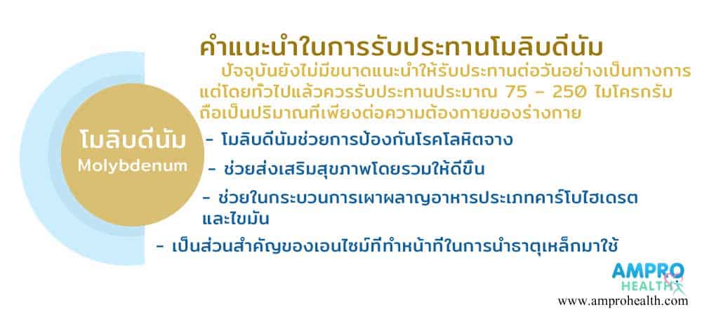 แร่ธาตุโมลิบดินัมสำคัญอย่างไร? (Molybdenum)