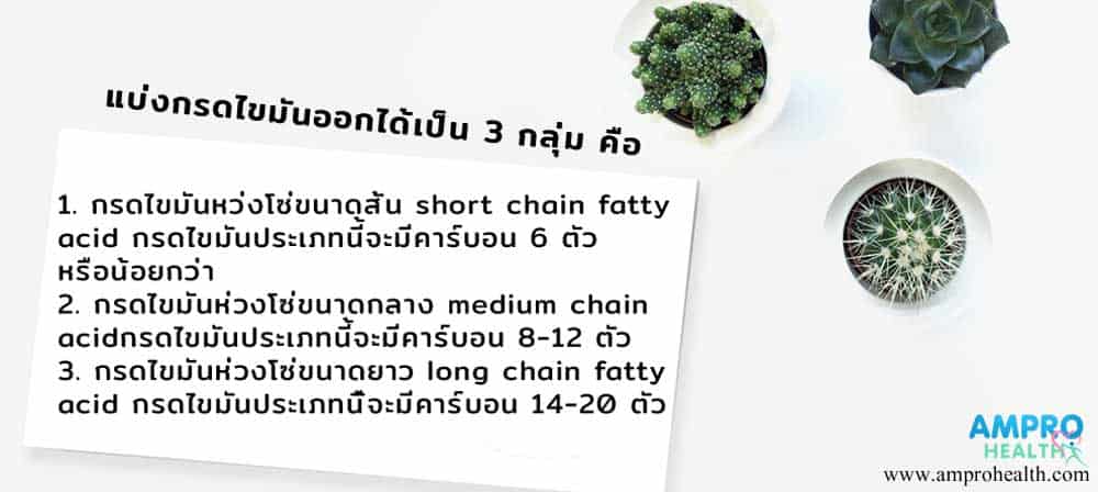 หน้าที่และความสำคัญของลิปิดคืออะไร?