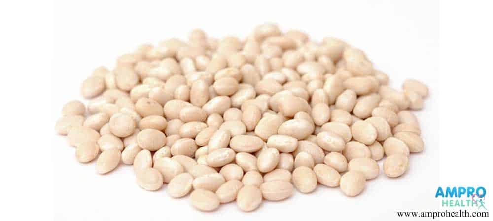 ถั่วขาว (Navy Bean) ตัวช่วยในการลดน้ำหนัก