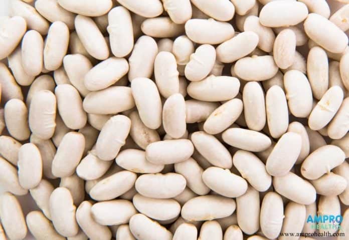 ถั่วขาว (Navy Bean) ตัวช่วยในการลดน้ำหนัก