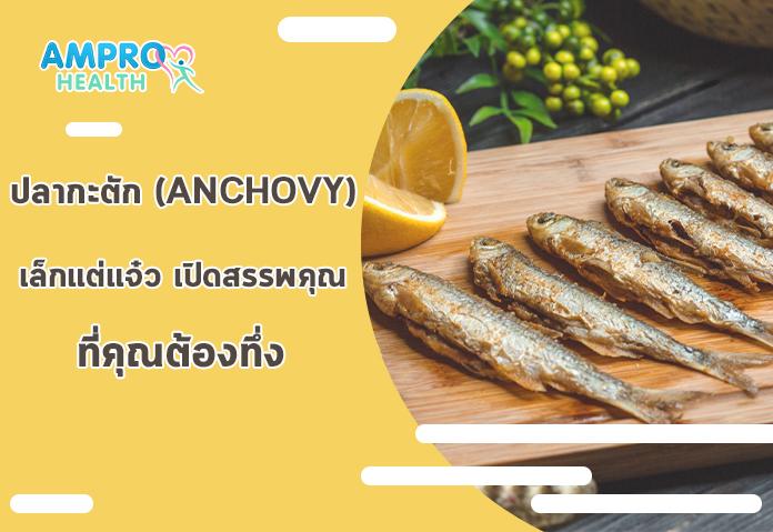 ปลากะตัก (Anchovy) เล็กแต่แจ๋ว เปิดสรรพคุณที่คุณต้องทึ่ง