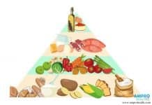 เตรียมพร้อมโภชนาการก่อนตั้งครรภ์ สำหรับหญิงที่ต้องการมีบุตร โภชนาการสำหรับหญิงที่ต้องการมีบุตร