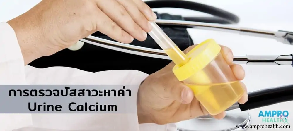 การตรวจปัสสาวะหาค่า Urine Calcium