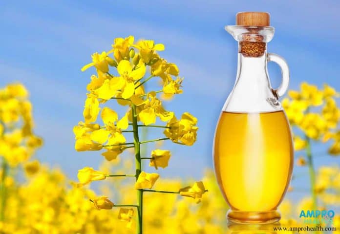 ประโยชน์ของน้ำมันคาโนลา (Canola Oil)