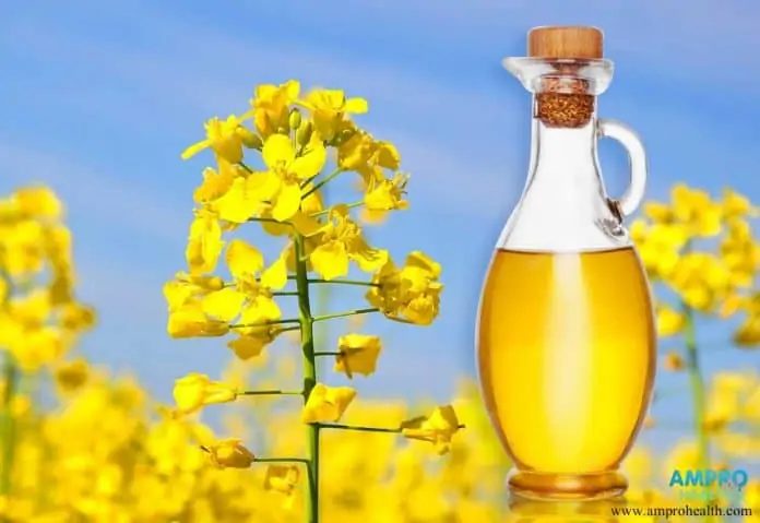 ประโยชน์ของน้ำมันคาโนลา (Canola Oil)