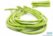 เส้นใยอาหาร ประโยชน์จากธรรมชาติช่วยรักษาระดับน้ำตาลในเลือด เลือกเส้นใยอาหารมาช่วยรักษาระดับน้ำตาล