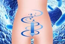 โปรไบโอติกส์ ( Probiotics ) ประโยชน์ของโปรไบโอติก (Probiotics)