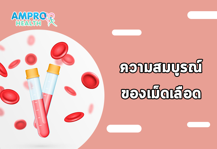 ความสมบูรณ์ของเม็ดเลือด - ผลตรวจเลือดบอกอะไรได้บ้าง เจาะลึกค่าเลือดและการแปลผลแลป