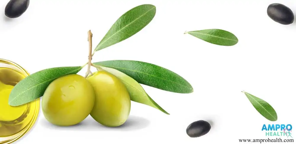 คุณประโยชน์สำคัญในน้ำมันมะกอก (Olive Oil)