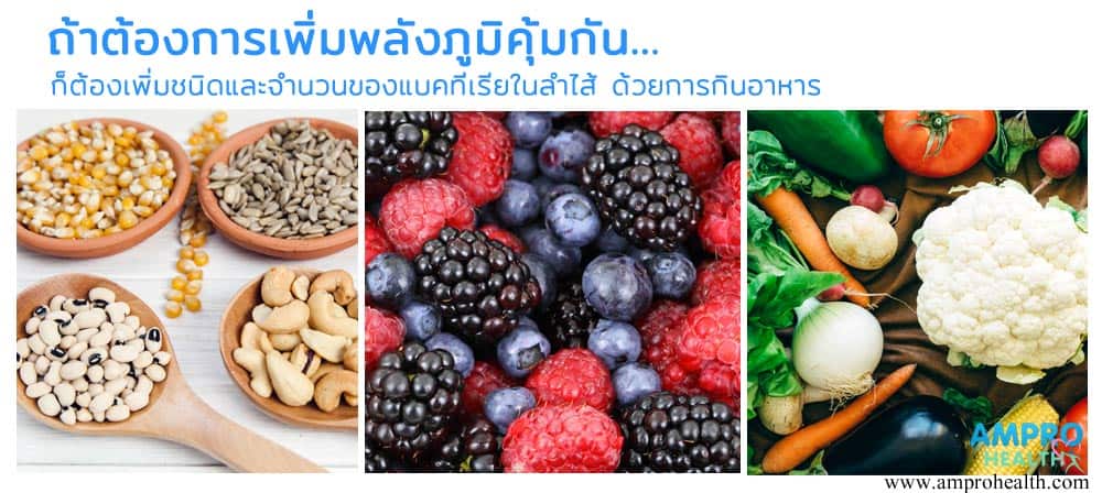 ลำไส้และจิตใจกำหนดพลังภูมิคุ้มกันที่ใหญ่สุดในร่างกาย