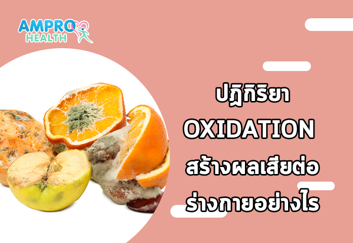 ปฏิกิริยาOxidation สร้างผลเสียต่อร่างกายอย่างไร - Oxidation ปฏิกิริยาออกซิเดชั่น ส่วนสำคัญของสิ่งมีชีวิต